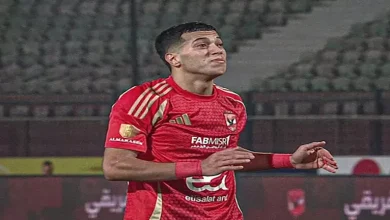 صورة 5 صور لإمام عاشور من حفلة عمرو دياب