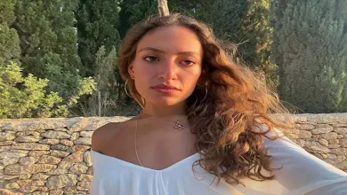 صورة بسبب الفستان.. الجمهور يهاجم ابنة عمرو دياب