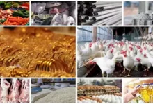صورة انخفاض الفول والدواجن  وارتفاع الذهب .. خريطة الأسعار اليوم