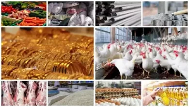 صورة انخفاض الفول والدواجن  وارتفاع الذهب .. خريطة الأسعار اليوم