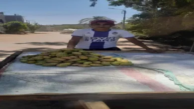 صورة من مزارع العنب والتين الشوكي إلى التمرين.. تفاصيل يوم لاعب أسمنت أسيوط