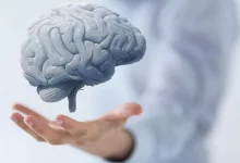 صورة تسبب انكماش الدماغ.. طبيب يحذر من تناول هذه الأطعمة الثلاثة