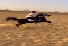 صورة أبرز المعلومات عن نجل عصام الحضري
