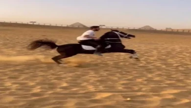 صورة أبرز المعلومات عن نجل عصام الحضري