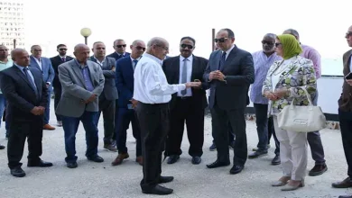 صورة وزير قطاع الأعمال: نبحث تحويل مبنى قصر القطن إلى مركز استثماري بإسكندر