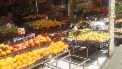 صورة توصيات من شعبة الخضروات والفاكهة للمواطنين لمواجهة غلاء الأسعار