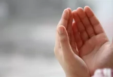 صورة الدكتور أسامة قابيل: دعاء النبي في الحر تربية إيمانية تذكّرنا بالآخرة