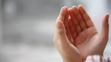 صورة الدكتور أسامة قابيل: دعاء النبي في الحر تربية إيمانية تذكّرنا بالآخرة