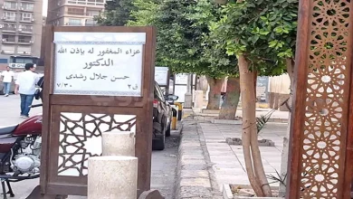 صورة 25 صورة من عزاء شقيق المخرج خالد جلال