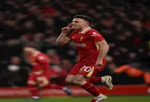 صورة أول قرار من الاتحاد البرتغالي بعد وفاة ديجو جوتا وشقيقه