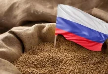 صورة للمرة الأولى منذ 2021.. روسيا تخفض رسوم تصدير القمح إلى الصفر لتعزيز ا