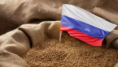 صورة للمرة الأولى منذ 2021.. روسيا تخفض رسوم تصدير القمح إلى الصفر لتعزيز ا