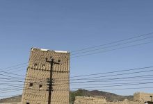 صورة الطلحة تشكو الإهمال.. !  أخبار السعودية