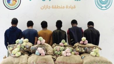 صورة «حرس الحدود» بجازان يقبض على 6 مخالفين لتهريبهم 195 كيلوغراماً من القات  أخبار السعودية