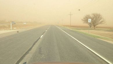 صورة لمواجهة الظواهر الغبارية.. المملكة تحتفي باليوم العالمي لمكافحة العواصف  أخبار السعودية