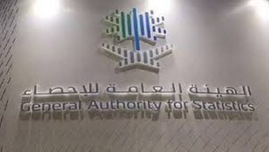 صورة «الإحصاء»: 6,551 ميجاواط سعة مشاريع الطاقة المتجددة حتى نهاية 2024  أخبار السعودية