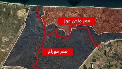 صورة ممر إسرائيلي جديد يشطر خان يونس  أخبار السعودية