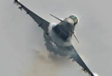 صورة طائر نورس يحطم طائرة حربية في إسبانيا  أخبار السعودية