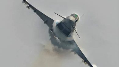 صورة طائر نورس يحطم طائرة حربية في إسبانيا  أخبار السعودية