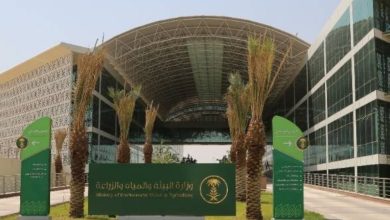 صورة «البيئة» تحدد شروط إصدار رخص حفر الآبار الجديدة للمشاريع الزراعية المتخصصة على مناطق الرف الرسوبي  أخبار السعودية