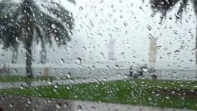 صورة تبدأ من الأحد.. حالة مطرية تصل إلى غزيرة على بعض مناطق السعودية  أخبار السعودية