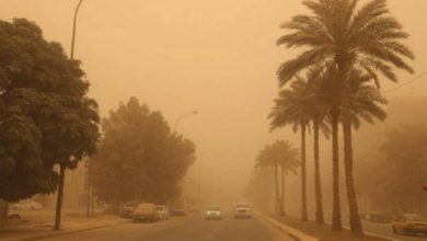صورة «الأرصاد»: رياح نشطة مثيرة للأتربة والغبار في معظم مناطق المملكة  أخبار السعودية