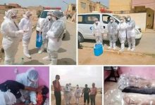 صورة أكلتهم أحياء.. خروج ديدان من أجساد عائلة في الجزائر!  أخبار السعودية
