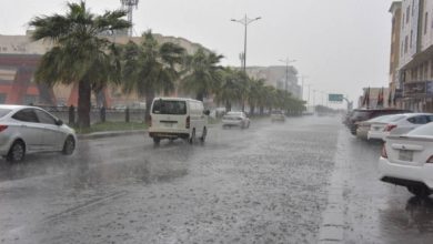 صورة «الأرصاد»: أمطار ورياح مثيرة للأتربة والغبار على 4 مناطق  أخبار السعودية
