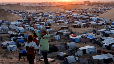 صورة مصر تؤكد استمرار رفضها تهجير الفلسطينيين من أرضهم