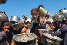 صورة رئيس شبكة المنظمات الأهلية بغزة: معظم سكان القطاع وصلوا المرحلة الأسوأ في المجاعة
