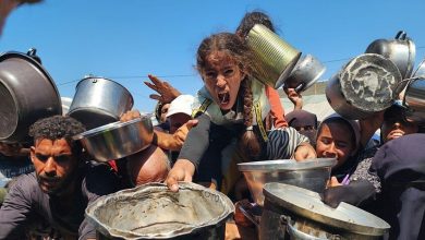 صورة رئيس شبكة المنظمات الأهلية بغزة: معظم سكان القطاع وصلوا المرحلة الأسوأ في المجاعة