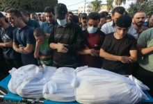 صورة 113 شهيدا و637 إصابة خلال يوم في قطاع غزة