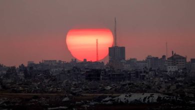 صورة | الحقوق الفلسطينية بين الاحتلال والقانون الدولي