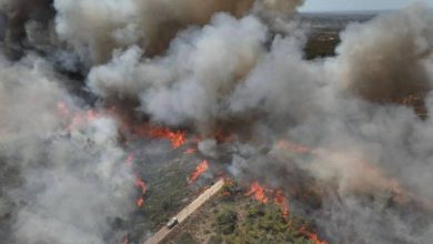 صورة | سوريا تشكر الأردن على الموقف الداعم في مواجهة حرائق الساحل