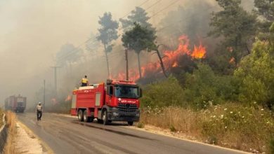 صورة | لليوم الرابع.. حرائق اللاذقية تواصل التهام الغابات وسوريا تطلب مزيداً من الدعم الدولي