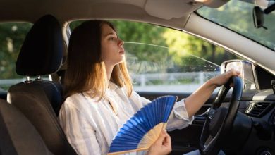 صورة | موجة حارة قوية تضرب دولًا عربية.. هل تمتد إلى الأردن؟