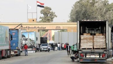 صورة | مصادر مصرية: دخول 166 شاحنة مساعدات إلى غزة.. و180 أخرى مقررة اليوم
