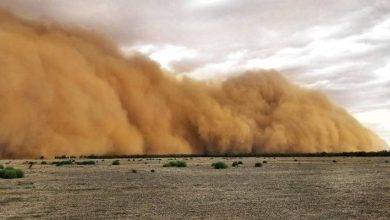 صورة | الأمن العام: إعادة فتح طريق رباع السرحان باتجاه حدود جابر والاتجاهين مع التحذير بأخذ الحيطة والحذر