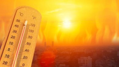 صورة | طقس العرب: أجواء حارة في الأردن الأحد والاثنين وانخفاض طفيف الثلاثاء