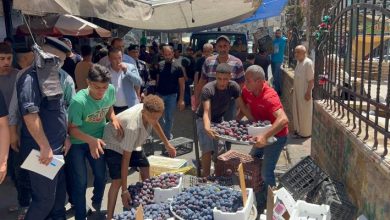 صورة | إزالة عشرات البسطات وتحرير مخالفات لمحال تجارية في حملة أمنية بإربد.. فيديو