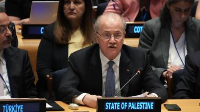 صورة | فلسطين في الأمم المتحدة: يجب دعم الحكومة الفلسطينية لبسط سيطرتها على غزة والضفة الغربية.. فيديو