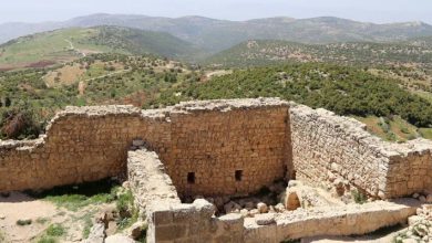 صورة | عودة الطقس المعتدل في الأردن بهذا الموعد