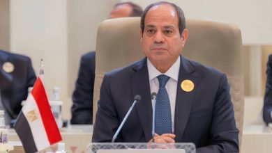 صورة | مصر: هناك محاولات لتزييف الحقائق وإحداث انقسامات بين الشعوب العربية