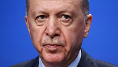 صورة أردوغان: “إسرائيل” تعتقد أن سوريا موحدة لن تكون في صالحها ولن نترك الشرع وحيدا