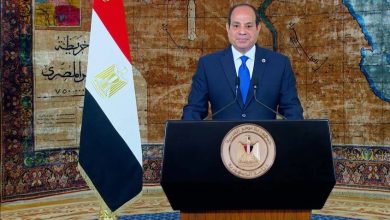 صورة كم يحتاج قطاع غزة من شاحنات المساعدات يوميا في الأيام العادية؟.. السيسي يجيب