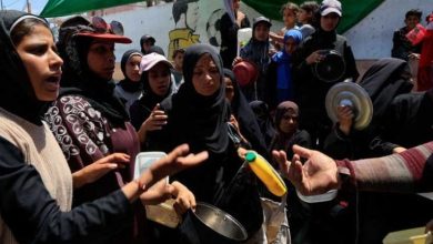 صورة نساء غزة يواجهن الموت جوعا أو القتل خلال البحث عن الطعام