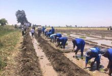 صورة وكالة التعاون اليابانية تدعم التنمية في افريقيا بحوالي 160 مليون دولار