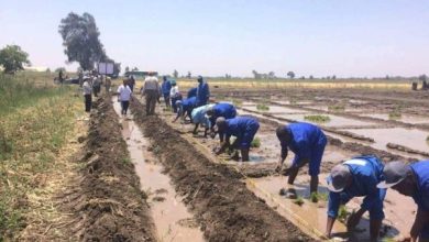صورة وكالة التعاون اليابانية تدعم التنمية في افريقيا بحوالي 160 مليون دولار