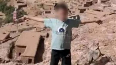 صورة رغم محاولات إنقاذه… أفعى سامة تقتل صبيا بنواحي تارودانت (مسؤول يوضح)