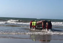 صورة نادل يلقى حتفه غرقا في شاطئ سيدي إفني